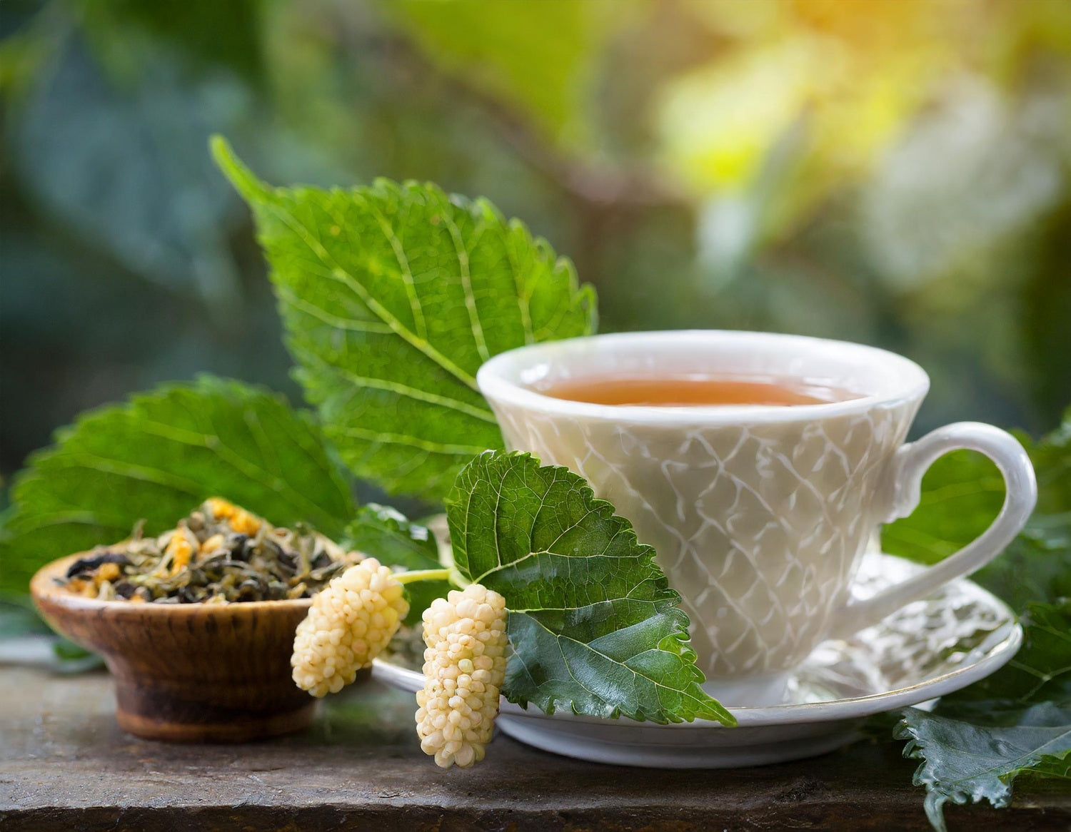 MORWA BIAŁA – WŁAŚCIWOŚCI I ZASTOSOWANIE W LECZNICTWIE I KOSMETYCE